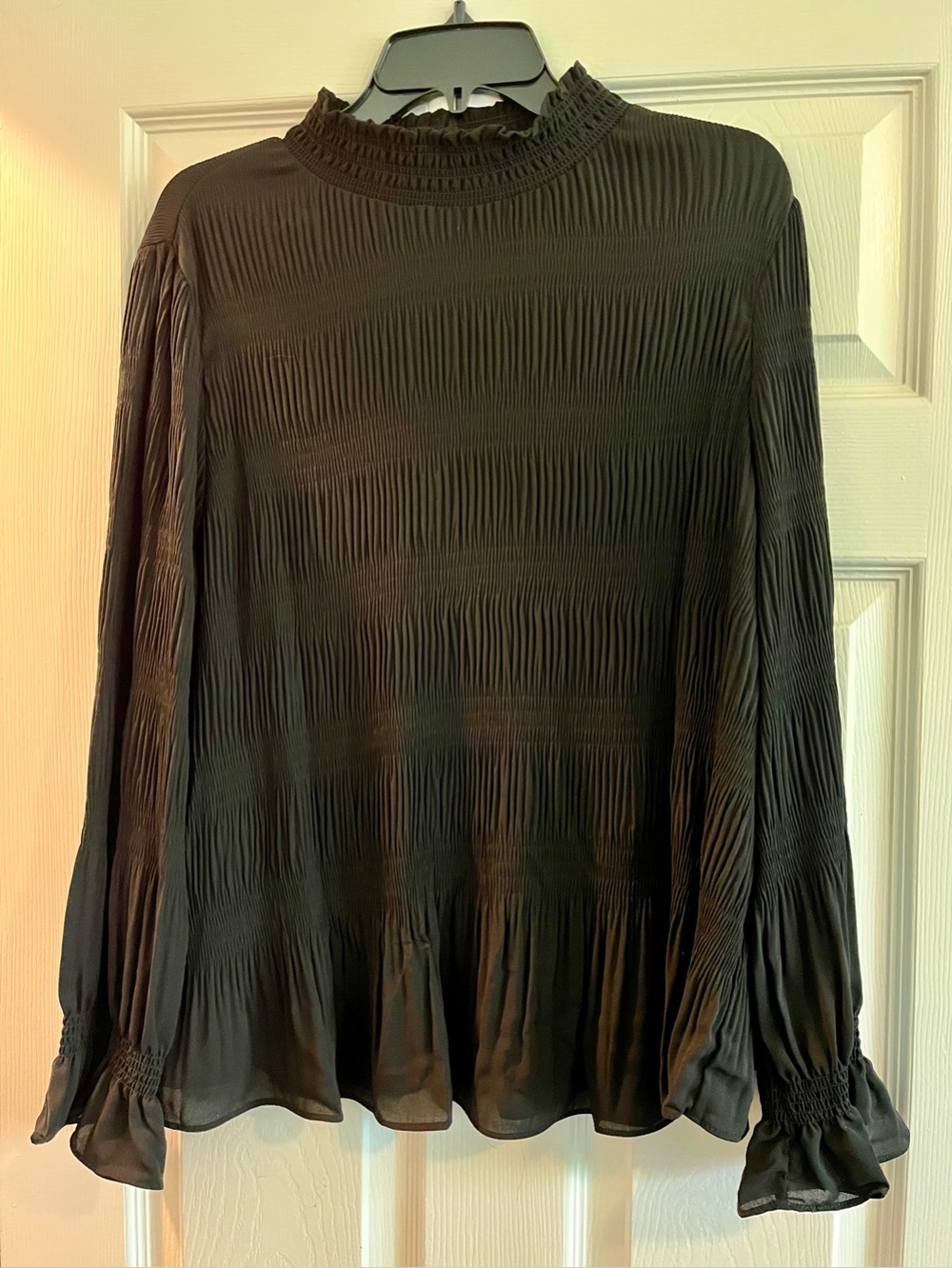 Adrianna Papell long sleeve, button neck, pleated blouse in black size XL